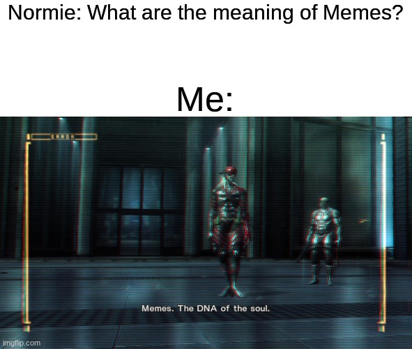 Ah yes, Metal Gear Rising Revengance. | Normie: What are the meaning of Memes? Me: | image tagged in metal gear,memes,funny,normie,truth | made w/ Imgflip meme maker