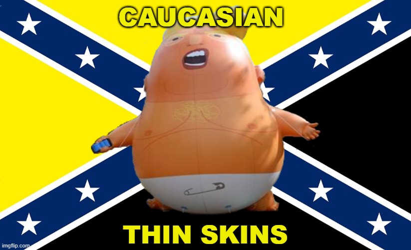 the thin skins | CAUCASIAN; THIN SKINS | image tagged in donald trump,maga,ancap,pedophile | made w/ Imgflip meme maker