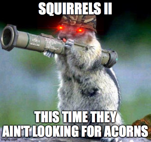 The next new horror film | SQUIRRELS II; THIS TIME THEY AIN'T LOOKING FOR ACORNS | image tagged in memes,bazooka squirrel | made w/ Imgflip meme maker