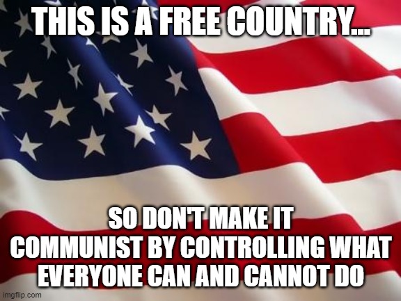 American flag | THIS IS A FREE COUNTRY... SO DON'T MAKE IT COMMUNIST BY CONTROLLING WHAT EVERYONE CAN AND CANNOT DO | image tagged in american flag | made w/ Imgflip meme maker