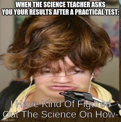Random Flamingo Meme. | WHEN THE SCIENCE TEACHER ASKS YOU YOUR RESULTS AFTER A PRACTICAL TEST:; I Have Kind Of Figured Out The Science On How- | image tagged in flamingo learns the science | made w/ Imgflip meme maker