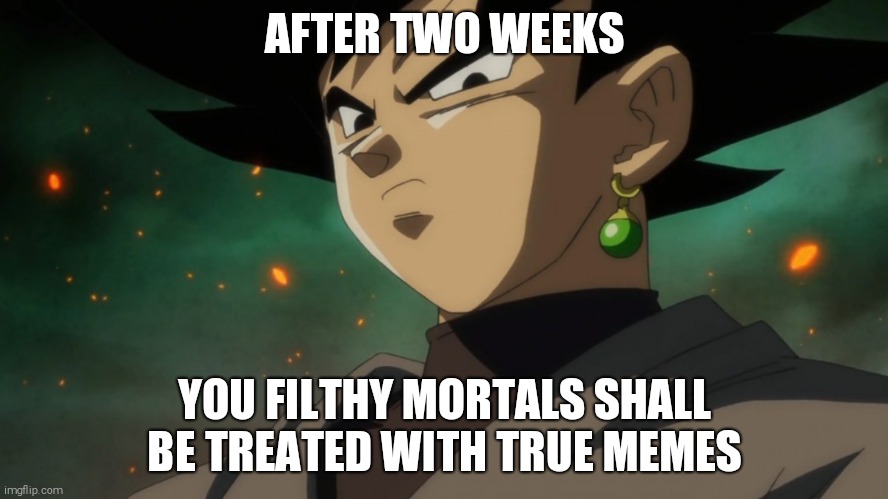 Goku Black Serious | AFTER TWO WEEKS; YOU FILTHY MORTALS SHALL BE TREATED WITH TRUE MEMES | image tagged in goku black serious | made w/ Imgflip meme maker