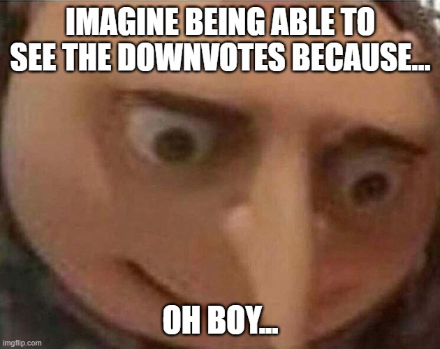 gru meme | IMAGINE BEING ABLE TO SEE THE DOWNVOTES BECAUSE... OH BOY... | image tagged in gru meme | made w/ Imgflip meme maker