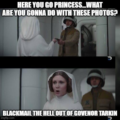 I Wonder What They Are | HERE YOU GO PRINCESS...WHAT ARE YOU GONNA DO WITH THESE PHOTOS? BLACKMAIL THE HELL OUT OF GOVENOR TARKIN | image tagged in star wars rogue one hope | made w/ Imgflip meme maker