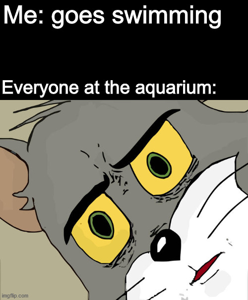 Unsettled Tom | Me: goes swimming; Everyone at the aquarium: | image tagged in memes,unsettled tom,dank memes,fresh memes,funny | made w/ Imgflip meme maker