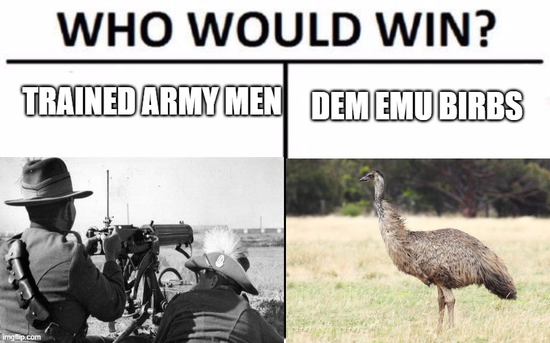 the great emu war | TRAINED ARMY MEN; DEM EMU BIRBS | image tagged in birb,emu,australia | made w/ Imgflip meme maker