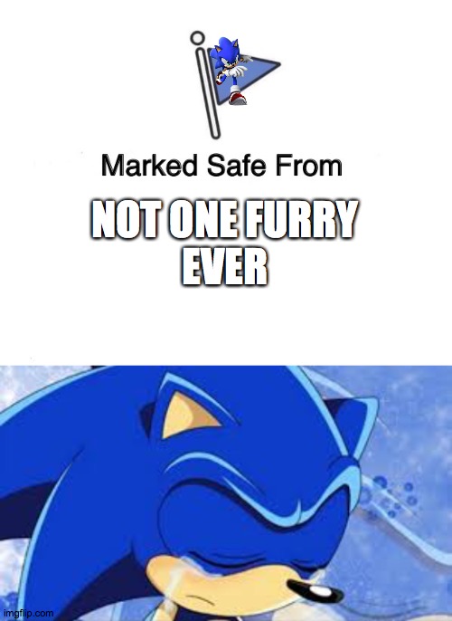 Stop Sonic furry fanart. | NOT ONE FURRY
EVER | image tagged in memes,marked safe from,sonic the hedgehog | made w/ Imgflip meme maker