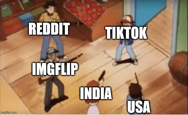 Tiktok bad | REDDIT; TIKTOK; IMGFLIP; USA; INDIA | image tagged in tiktok | made w/ Imgflip meme maker