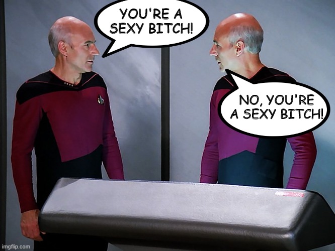 The 2 Picards |  YOU'RE A SEXY BITCH! NO, YOU'RE A SEXY BITCH! | image tagged in picard staring at himself | made w/ Imgflip meme maker