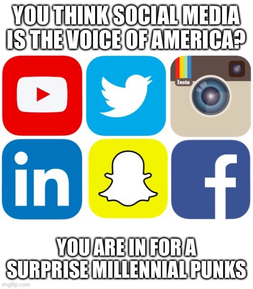 Social Media Icons | YOU THINK SOCIAL MEDIA IS THE VOICE OF AMERICA? YOU ARE IN FOR A SURPRISE MILLENNIAL PUNKS | image tagged in social media icons | made w/ Imgflip meme maker