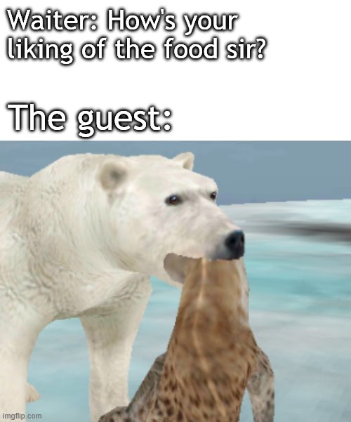 bear with hyena in mouth | Waiter: How's your liking of the food sir? The guest: | image tagged in bear with hyena in mouth | made w/ Imgflip meme maker