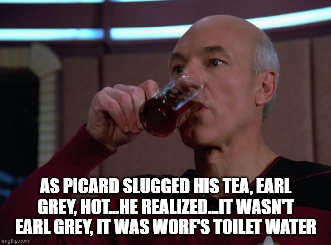 What Did I Just Drink? | AS PICARD SLUGGED HIS TEA, EARL GREY, HOT...HE REALIZED...IT WASN'T EARL GREY, IT WAS WORF'S TOILET WATER | image tagged in picard tea | made w/ Imgflip meme maker