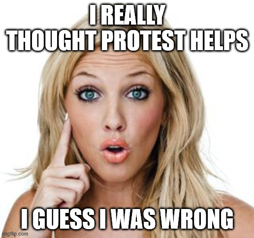 Dumb blonde | I REALLY THOUGHT PROTEST HELPS I GUESS I WAS WRONG | image tagged in dumb blonde | made w/ Imgflip meme maker