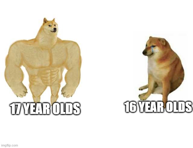 Buff Doge vs. Cheems Meme | 16 YEAR OLDS; 17 YEAR OLDS | image tagged in strong doge weak doge | made w/ Imgflip meme maker
