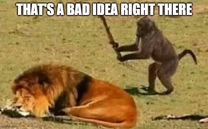 Bad idea | THAT'S A BAD IDEA RIGHT THERE | image tagged in bad idea | made w/ Imgflip meme maker