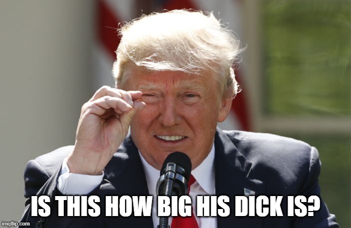 Is this how big his dick is? | IS THIS HOW BIG HIS DICK IS? | image tagged in is this how big his dick is | made w/ Imgflip meme maker