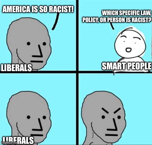 Dum liberals | WHICH SPECIFIC LAW, POLICY, OR PERSON IS RACIST? AMERICA IS SO RACIST! LIBERALS; SMART PEOPLE; LIBERALS | image tagged in npc meme | made w/ Imgflip meme maker