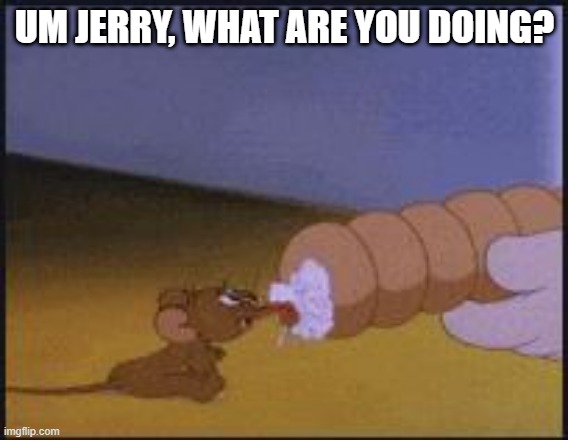 Mouse n Cream | UM JERRY, WHAT ARE YOU DOING? | image tagged in tom and jerry | made w/ Imgflip meme maker