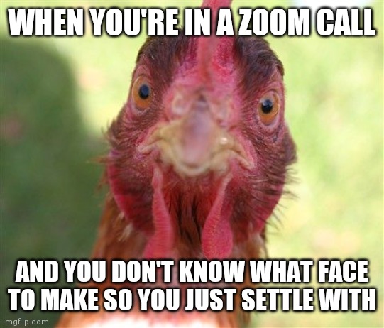 It's too early in the morning for a Zoom meeting! | WHEN YOU'RE IN A ZOOM CALL; AND YOU DON'T KNOW WHAT FACE TO MAKE SO YOU JUST SETTLE WITH | image tagged in memes,funny,chicken,zoom | made w/ Imgflip meme maker
