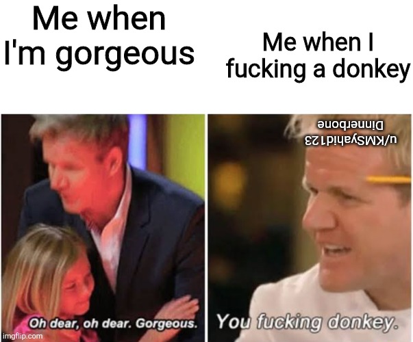 Gordon Ramsay kids vs adults | Me when I'm gorgeous; Me when I fucking a donkey; u/KMSyahid123
Dinnerbone | image tagged in gordon ramsay kids vs adults | made w/ Imgflip meme maker