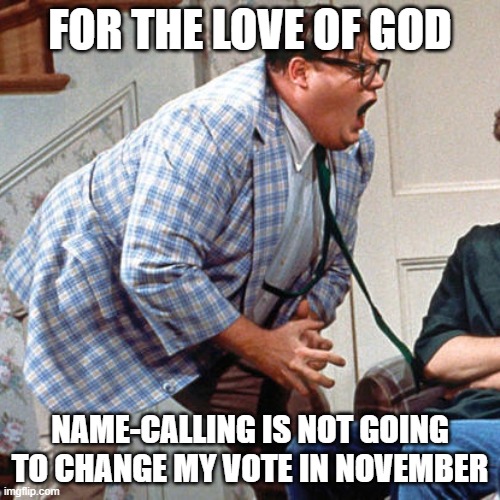 Chris Farley For the love of god | FOR THE LOVE OF GOD; NAME-CALLING IS NOT GOING TO CHANGE MY VOTE IN NOVEMBER | image tagged in chris farley for the love of god | made w/ Imgflip meme maker