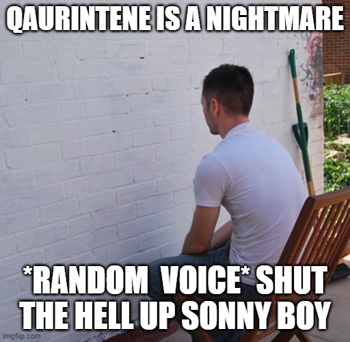 IM LOOSING MY MIND | QAURINTENE IS A NIGHTMARE; *RANDOM  VOICE* SHUT THE HELL UP SONNY BOY | image tagged in bored | made w/ Imgflip meme maker