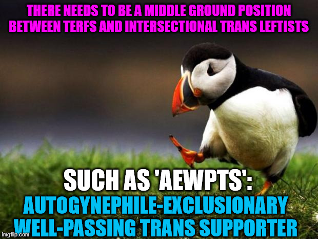 I will support trans people who pass as the gender they identify as | THERE NEEDS TO BE A MIDDLE GROUND POSITION BETWEEN TERFS AND INTERSECTIONAL TRANS LEFTISTS; SUCH AS 'AEWPTS':; AUTOGYNEPHILE-EXCLUSIONARY WELL-PASSING TRANS SUPPORTER | image tagged in memes,unpopular opinion puffin,transgender,leftists | made w/ Imgflip meme maker