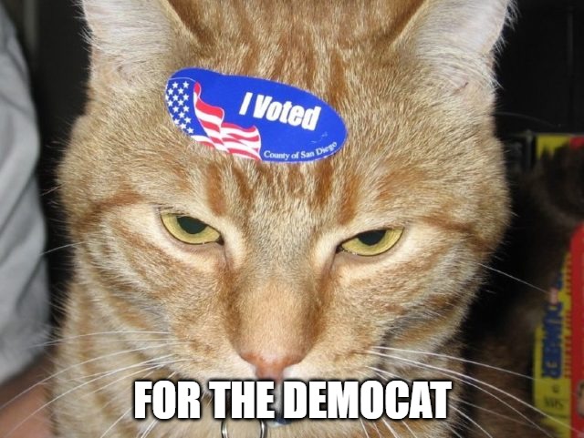 Everyone's doing it | FOR THE DEMOCAT | image tagged in cats,memes,fun,funny,democats | made w/ Imgflip meme maker