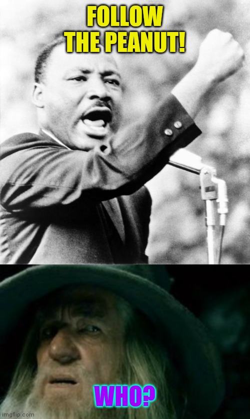FOLLOW THE PEANUT! WHO? | image tagged in memes,confused gandalf,martin luther king jr | made w/ Imgflip meme maker