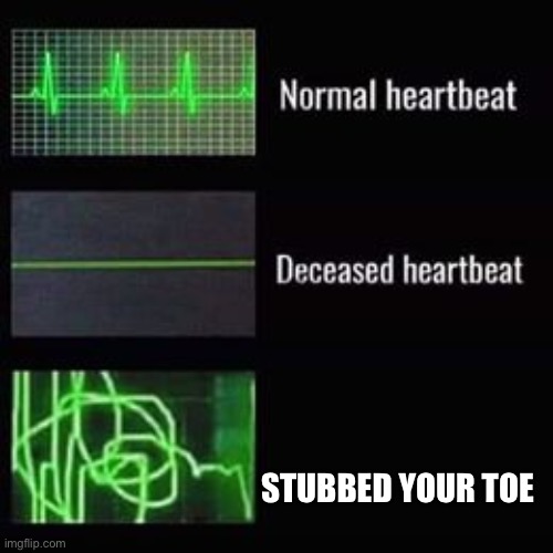 heartbeat rate | STUBBED YOUR TOE | image tagged in heartbeat rate,ah shit here we go again,oh no | made w/ Imgflip meme maker