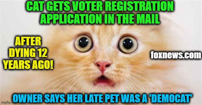 Why Democrats Want Mail-In Voting... | CAT GETS VOTER REGISTRATION 
APPLICATION IN THE MAIL; AFTER DYING 12 YEARS AGO! foxnews.com; OWNER SAYS HER LATE PET WAS A 'DEMOCAT' | image tagged in politics,political meme,cats,democrats,democrat party,insanity | made w/ Imgflip meme maker