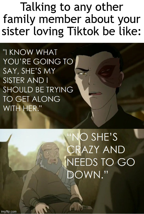 I don't have a sister but this doesn't make it any less true | Talking to any other family member about your sister loving Tiktok be like: | image tagged in iroh she is crazy and needs to go down | made w/ Imgflip meme maker