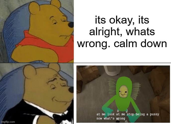 Tuxedo Winnie The Pooh | its okay, its alright, whats wrong. calm down | image tagged in memes,tuxedo winnie the pooh,funny,funny memes,humour,funny meme | made w/ Imgflip meme maker