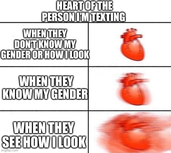 Talking with a stranger | HEART OF THE PERSON I’M TEXTING; WHEN THEY DON’T KNOW MY GENDER OR HOW I LOOK; WHEN THEY KNOW MY GENDER; WHEN THEY SEE HOW I LOOK | image tagged in heartbeat rate,my heart,heartbeat | made w/ Imgflip meme maker
