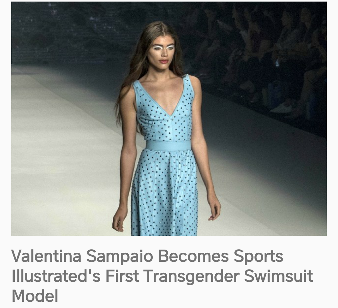 High Quality Trans model Blank Meme Template