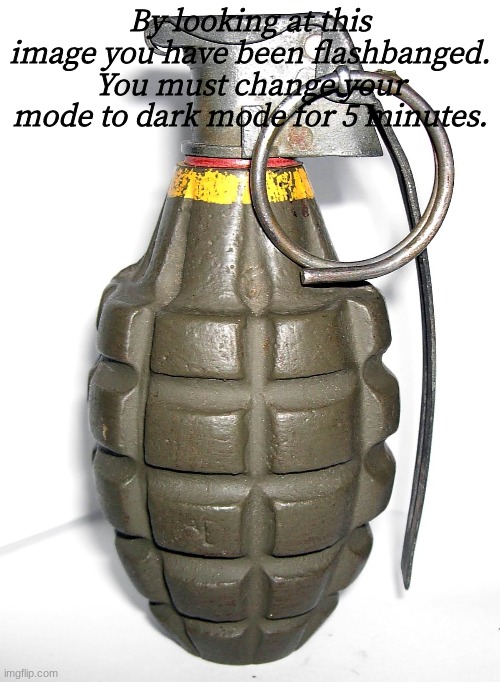 grenade | By looking at this image you have been flashbanged. You must change your mode to dark mode for 5 minutes. | image tagged in grenade | made w/ Imgflip meme maker