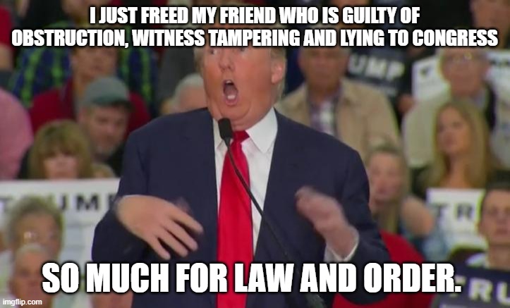 Donald Trump Mocking Disabled | I JUST FREED MY FRIEND WHO IS GUILTY OF OBSTRUCTION, WITNESS TAMPERING AND LYING TO CONGRESS; SO MUCH FOR LAW AND ORDER. | image tagged in donald trump mocking disabled | made w/ Imgflip meme maker