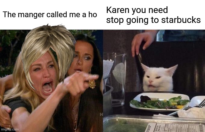 Woman Yelling At Cat | The manger called me a ho; Karen you need stop going to starbucks | image tagged in memes,woman yelling at cat | made w/ Imgflip meme maker
