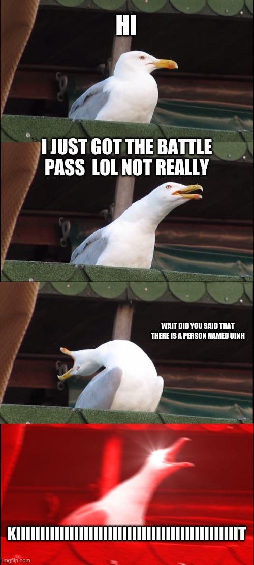 hello | HI; I JUST GOT THE BATTLE PASS  LOL NOT REALLY; WAIT DID YOU SAID THAT THERE IS A PERSON NAMED UINH; KIIIIIIIIIIIIIIIIIIIIIIIIIIIIIIIIIIIIIIIIIIIIIIT | image tagged in memes,inhaling seagull | made w/ Imgflip meme maker