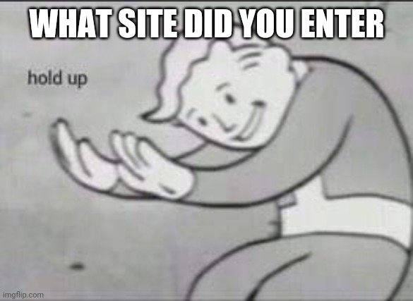 Fallout Hold Up | WHAT SITE DID YOU ENTER | image tagged in fallout hold up | made w/ Imgflip meme maker