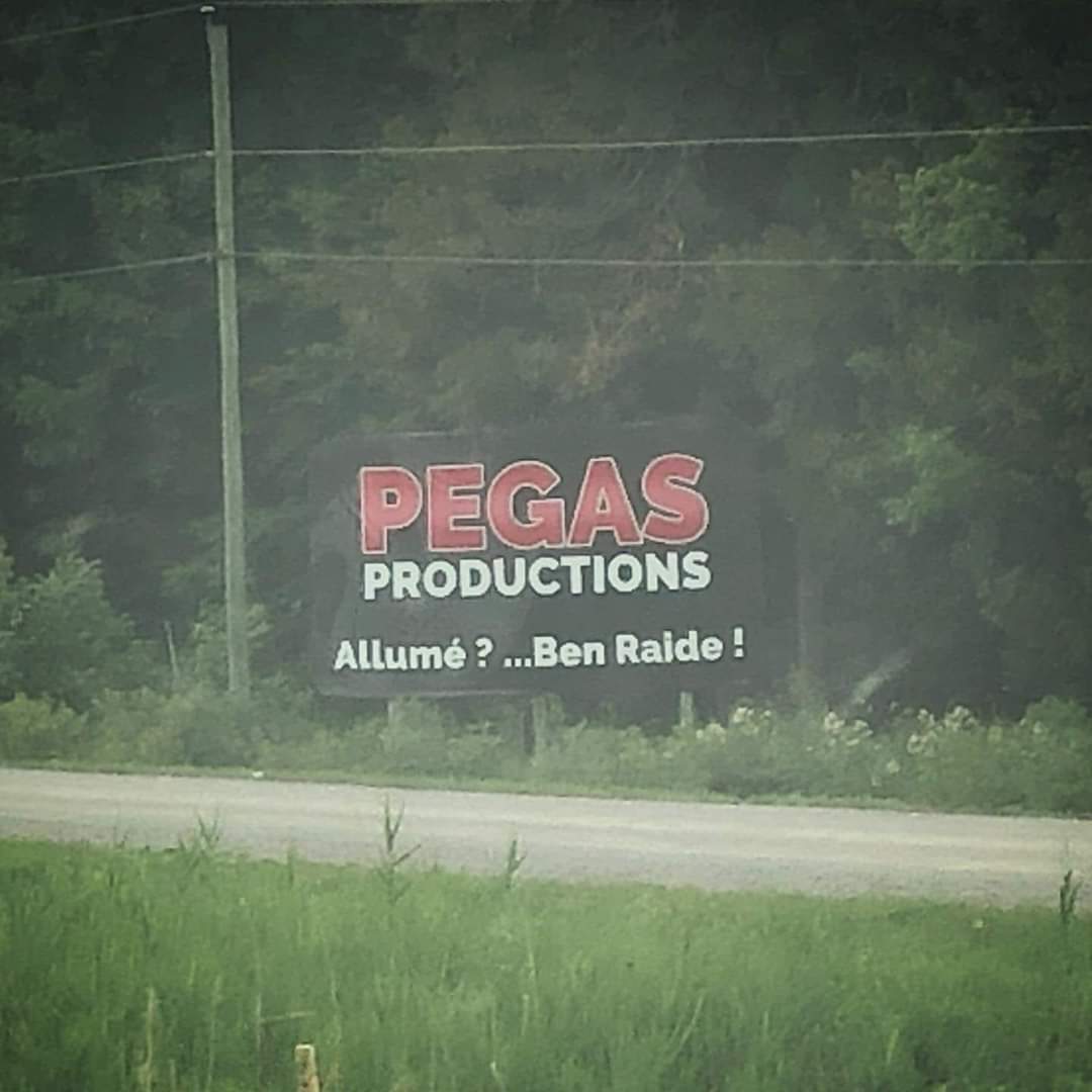 Pegass Blank Meme Template