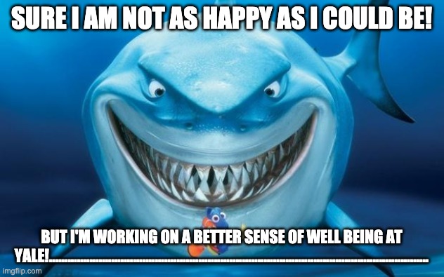 Don't Eat Nemo |  SURE I AM NOT AS HAPPY AS I COULD BE! BUT I'M WORKING ON A BETTER SENSE OF WELL BEING AT YALE!.......................................................................................................................... | image tagged in hungry shark nemos,finding nemo,happiness | made w/ Imgflip meme maker