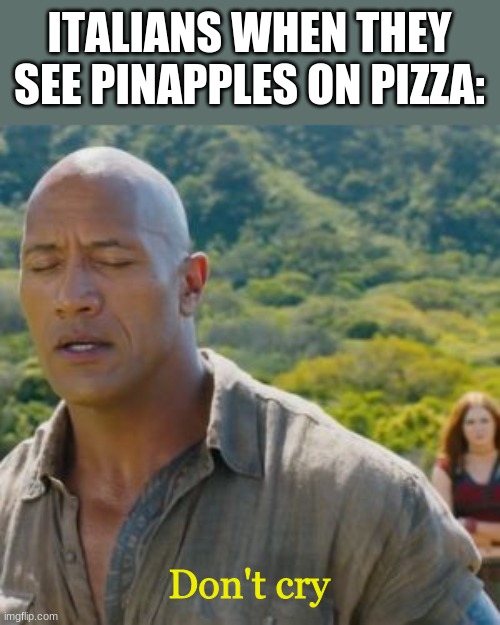 Don't cry | ITALIANS WHEN THEY SEE PINAPPLES ON PIZZA:; Don't cry | image tagged in jumanji don't cry | made w/ Imgflip meme maker