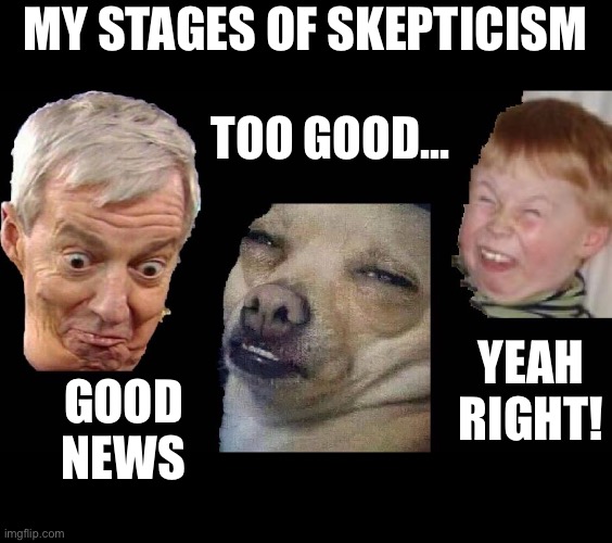 Skeptical | MY STAGES OF SKEPTICISM; TOO GOOD... YEAH RIGHT! GOOD NEWS | image tagged in funny memes | made w/ Imgflip meme maker