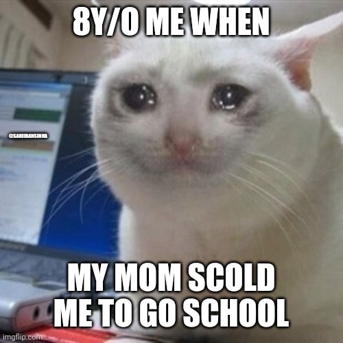 Going_school | 8Y/O ME WHEN; @SANJIBANSINHA; MY MOM SCOLD ME TO GO SCHOOL | image tagged in crying cat | made w/ Imgflip meme maker