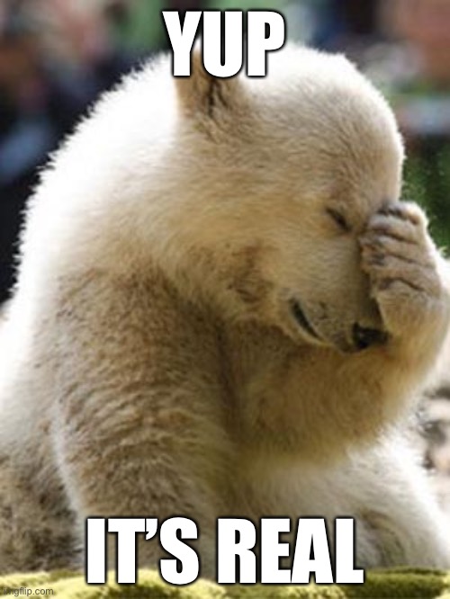 Facepalm Bear Meme | YUP IT’S REAL | image tagged in memes,facepalm bear | made w/ Imgflip meme maker