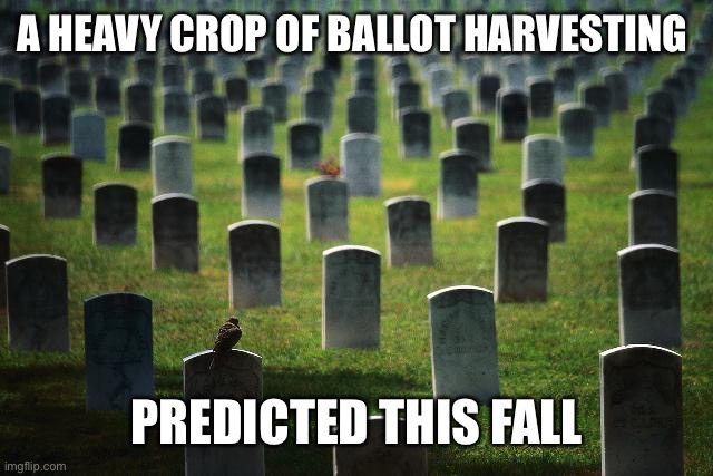 graveyard cemetary | A HEAVY CROP OF BALLOT HARVESTING PREDICTED THIS FALL | image tagged in graveyard cemetary | made w/ Imgflip meme maker