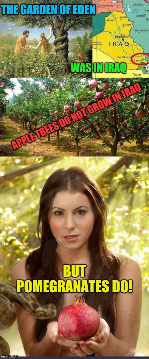 The Temptation | THE GARDEN OF EDEN; WAS IN IRAQ; APPLE TREES DO NOT GROW IN IRAQ; BUT POMEGRANATES DO! | image tagged in adam and eve,garden,temptation | made w/ Imgflip meme maker