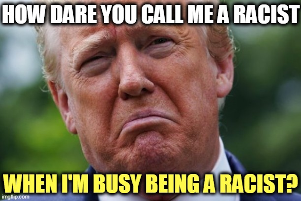 Loser. | HOW DARE YOU CALL ME A RACIST; WHEN I'M BUSY BEING A RACIST? | image tagged in trump,racist,racism | made w/ Imgflip meme maker