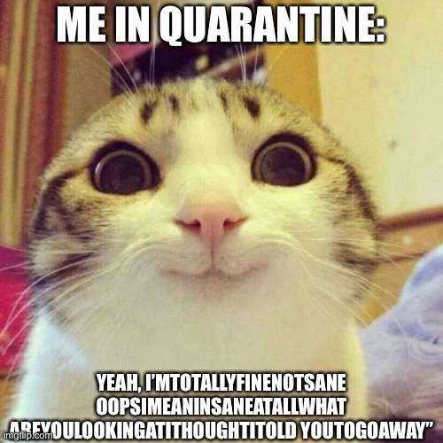 Smiling Cat | ME IN QUARANTINE:; YEAH, I’MTOTALLYFINENOTSANE OOPSIMEANINSANEATALLWHAT AREYOULOOKINGATITHOUGHTITOLD YOUTOGOAWAY” | image tagged in memes,smiling cat | made w/ Imgflip meme maker